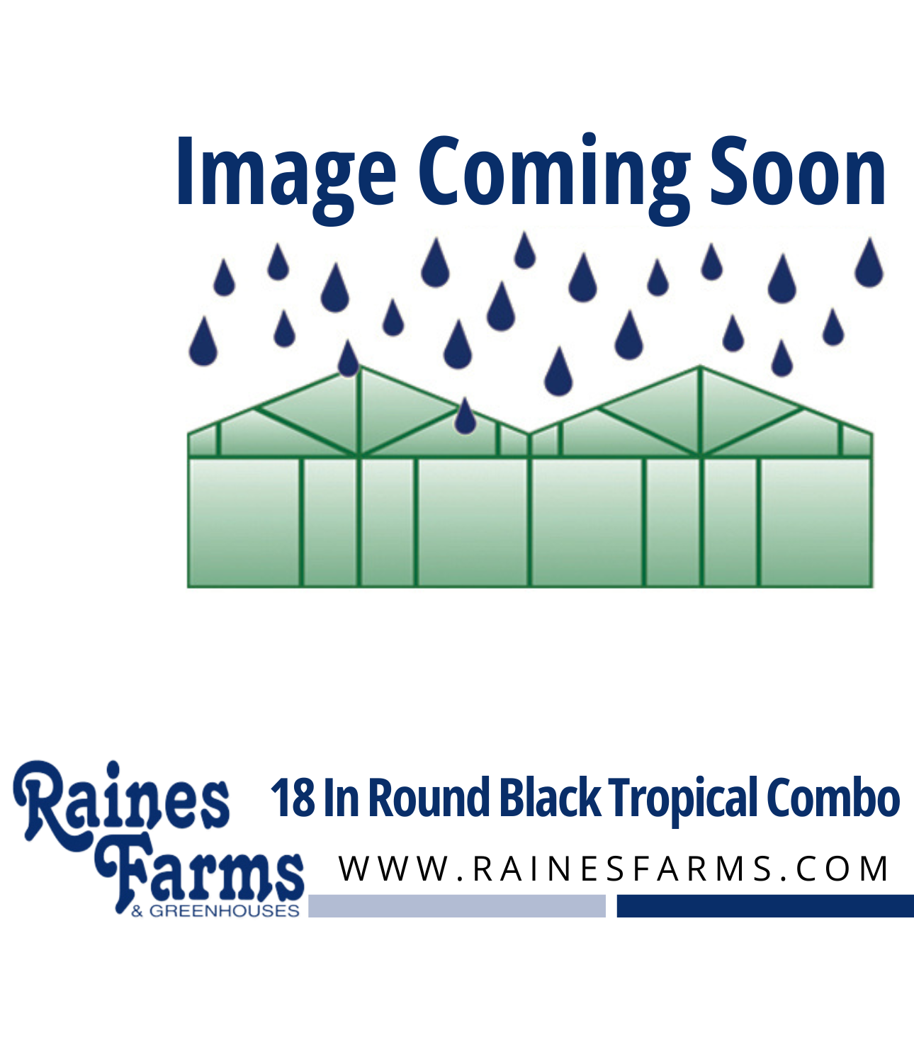 18 Inch Round Black Tropical Combo Planter